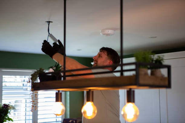 Best Electrician for Home Renovation  in Elmwood, IL